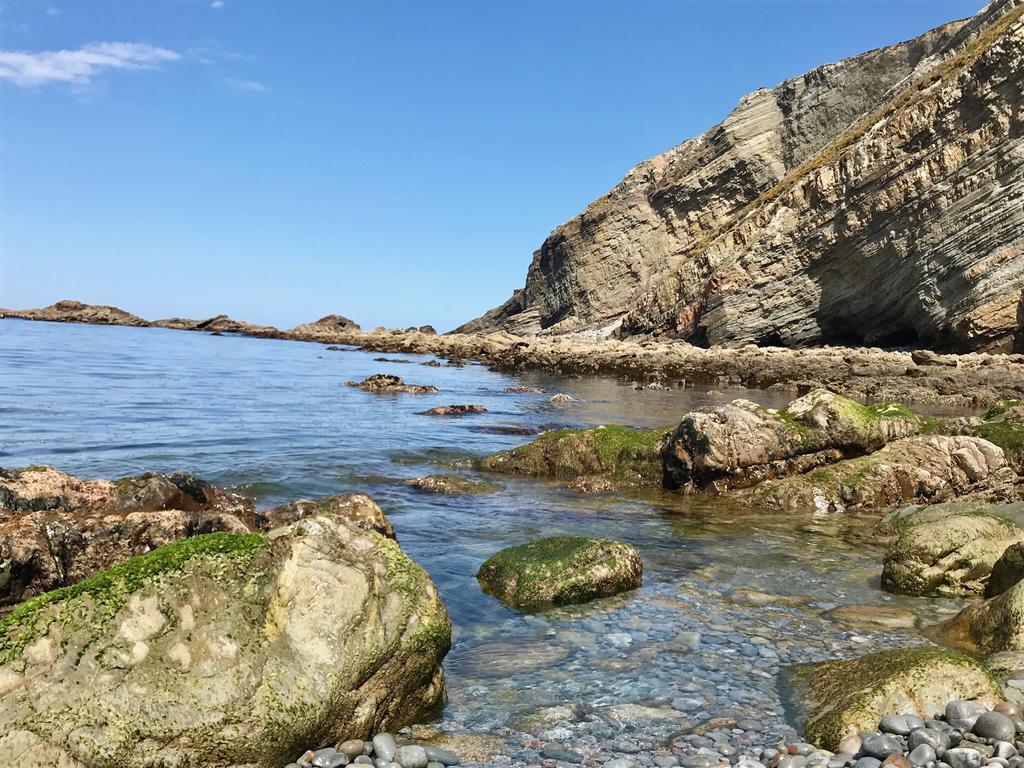 Apartamentos Rurales La Aguilera Oviñana Eksteriør bilde